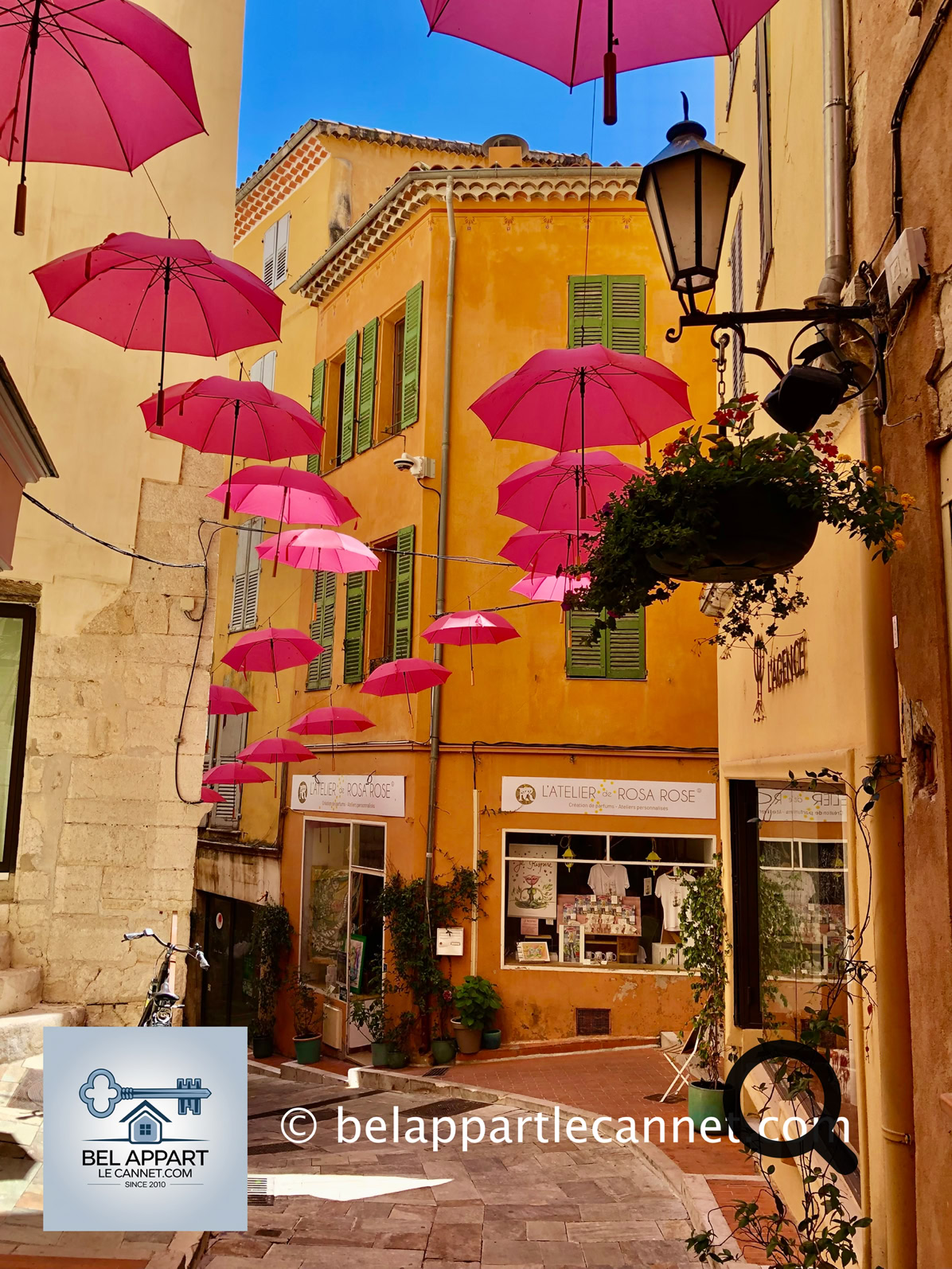 Each year in early May, Grasse decorates its city center with its famous pink umbrellas for spring. This initiative was launched by Mayor Jérôme Viaud to promote ExpoRose, the major festival celebrating the rose. Over 2,000 umbrellas are suspended above the town's main streets and squares (Rue Ossola, Place de la Poissonnerie, Garden Villa Fragonard…), creating a poetic and colorful atmosphere that draws tourists and photographers alike.