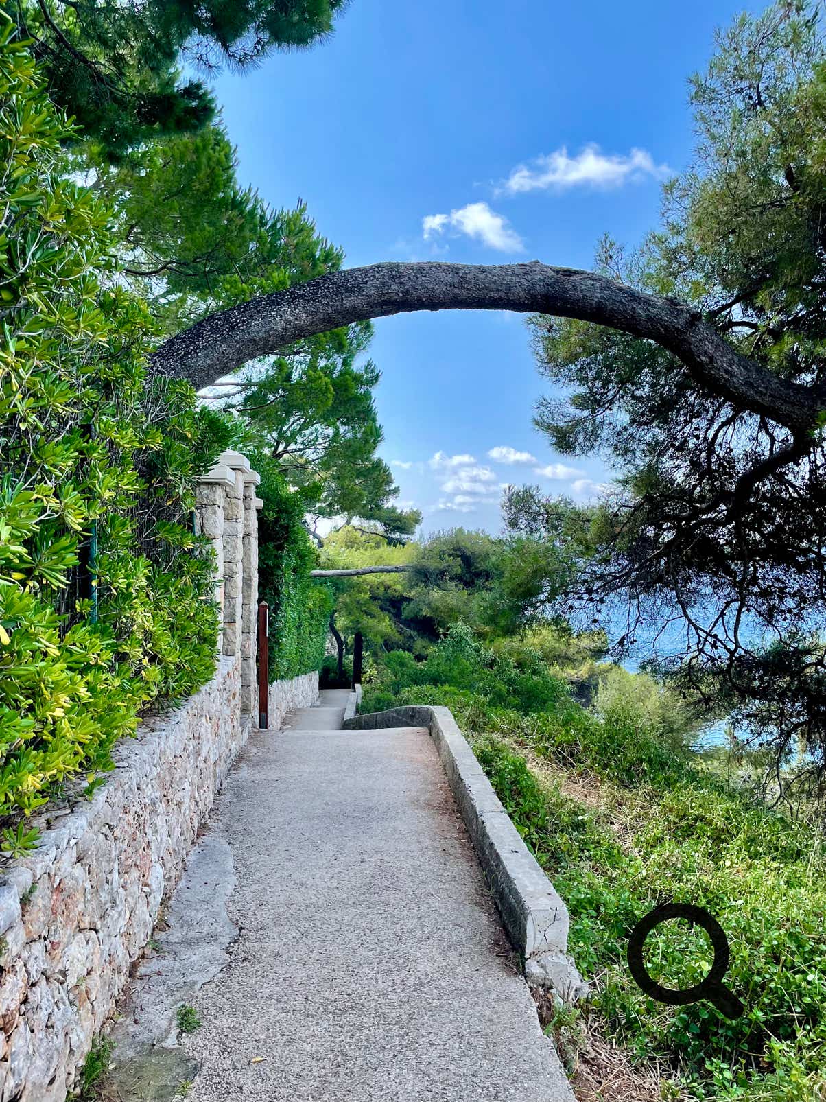 Tout au long du parcours, la Méditerranée se dévoile dans toute sa splendeur. L’eau turquoise contraste avec les rochers blancs et gris du littoral. Par beau temps, on aperçoit jusqu’aux côtes italiennes. Il n’est pas rare de croiser des lézards, des oiseaux marins, ou même des dauphins au large si l’on est chanceux.