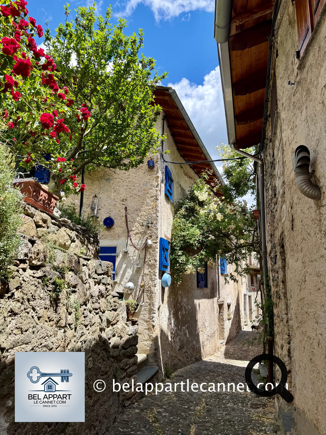 Le village possède un remarquable centre historique médiéval construit en amphithéâtre au-dessus de la Roya. Ses ruelles étroites, appelées « carugiu », serpentent entre les maisons anciennes et relient les différents quartiers du bourg.