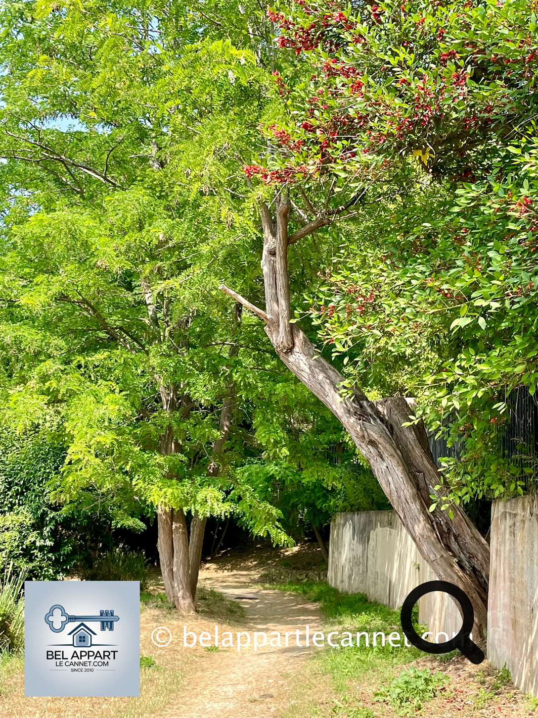 Une agréable promenade d’environ 1h30 vous emmène à la découverte du Canal de la Siagne. Tout le long de la promenade vous aurez une magnifique vue sur la baie de Cannes, les collines de Mougins et de Grasse.
