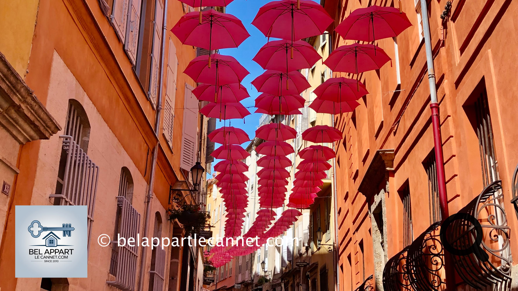Each year in early May, Grasse decorates its city center with its famous pink umbrellas for spring. This initiative was launched by Mayor Jérôme Viaud to promote ExpoRose, the major festival celebrating the rose. Over 2,000 umbrellas are suspended above the town's main streets and squares (Rue Ossola, Place de la Poissonnerie, Garden Villa Fragonard…), creating a poetic and colorful atmosphere that draws tourists and photographers alike.