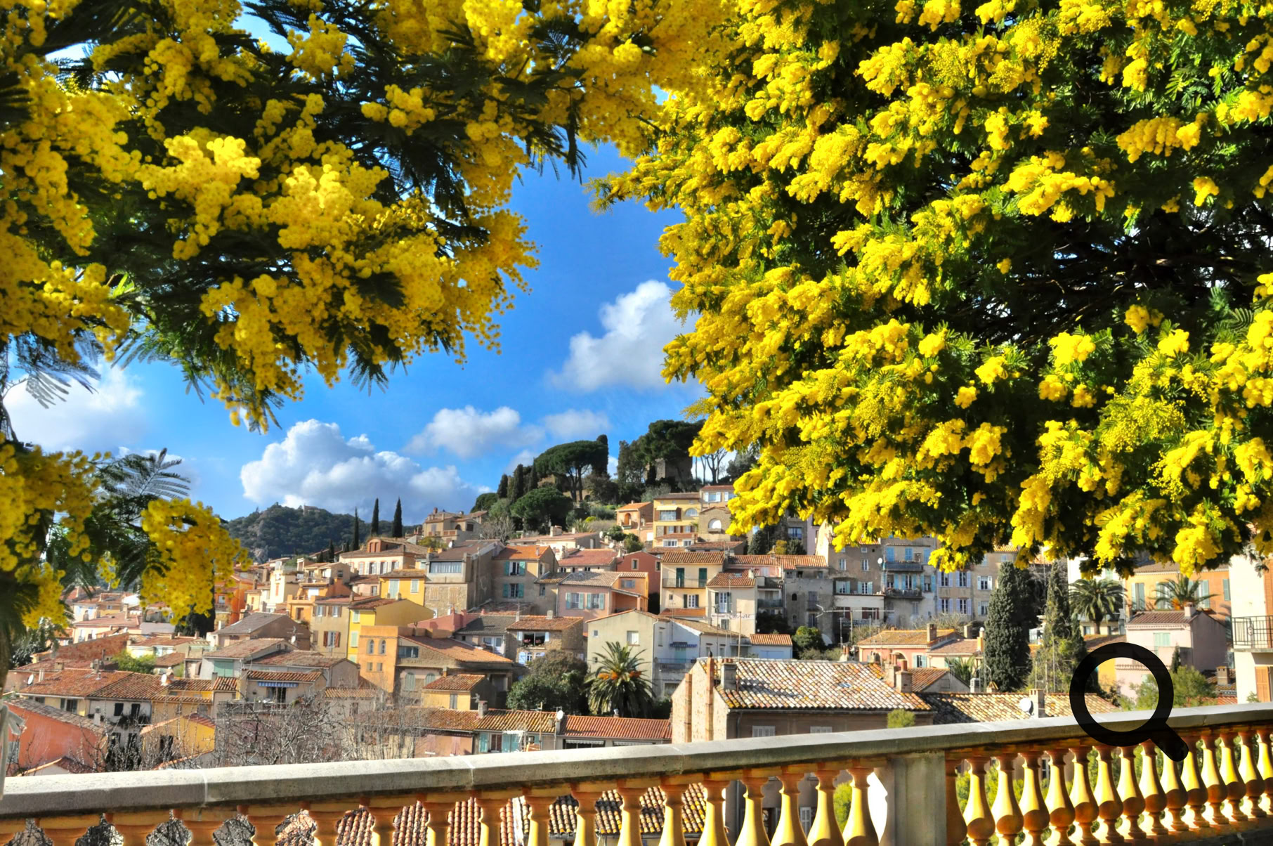 The name Bormes-les-Mimosas truly comes into its own during the winter months. The most spectacular period to see the mimosa in bloom is generally between January and March. But despite what its name might suggest, Bormes is far from being worth visiting only during the mimosa season.