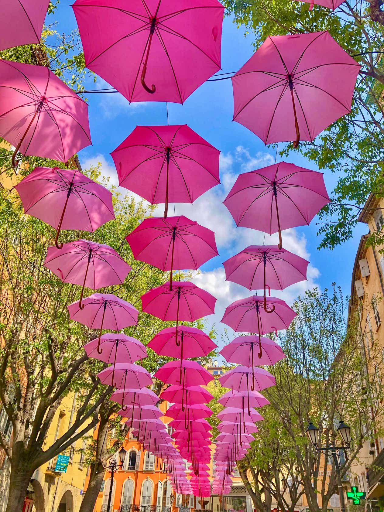 Each year in early May, Grasse decorates its city center with its famous pink umbrellas for spring. This initiative was launched by Mayor Jérôme Viaud to promote ExpoRose, the major festival celebrating the rose. Over 2,000 umbrellas are suspended above the town's main streets and squares (Rue Ossola, Place de la Poissonnerie, Garden Villa Fragonard…), creating a poetic and colorful atmosphere that draws tourists and photographers alike. The umbrellas remain in place throughout spring and summer, until the end of the season, offering a magical setting for visitors.