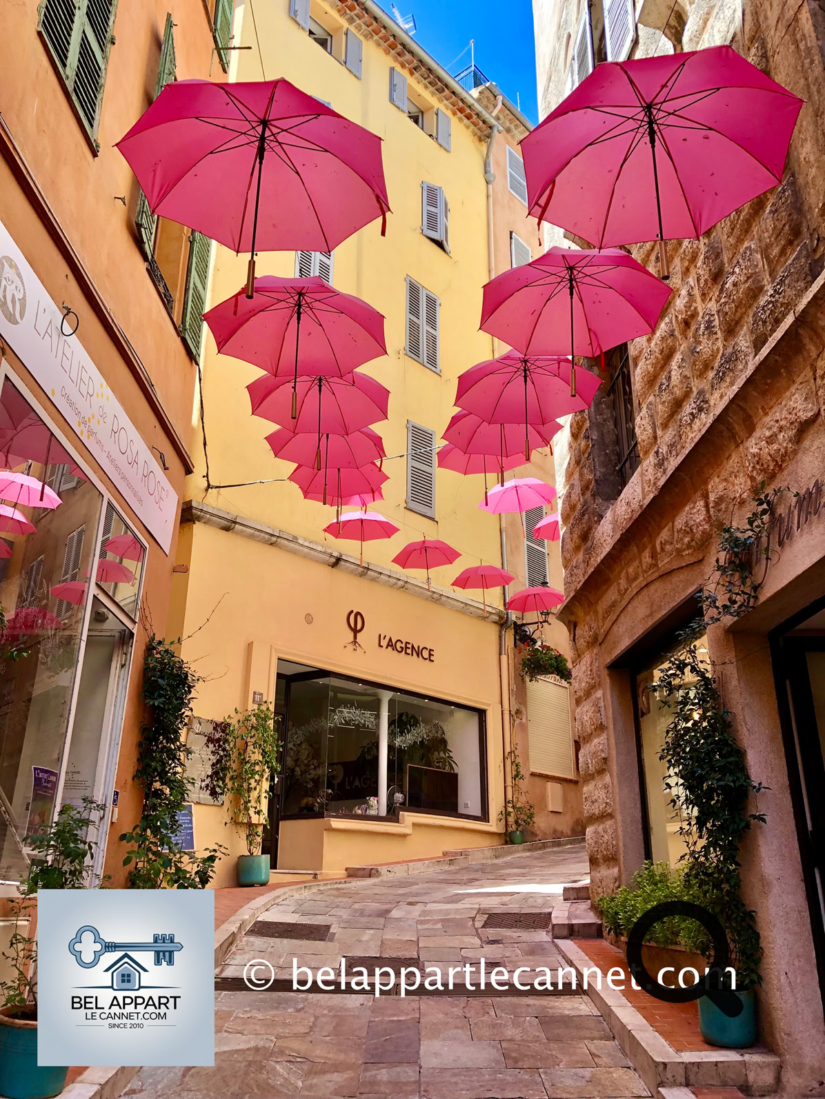 Each year in early May, Grasse decorates its city center with its famous pink umbrellas for spring. This initiative was launched by Mayor Jérôme Viaud to promote ExpoRose, the major festival celebrating the rose. Over 2,000 umbrellas are suspended above the town's main streets and squares (Rue Ossola, Place de la Poissonnerie, Garden Villa Fragonard…), creating a poetic and colorful atmosphere that draws tourists and photographers alike.