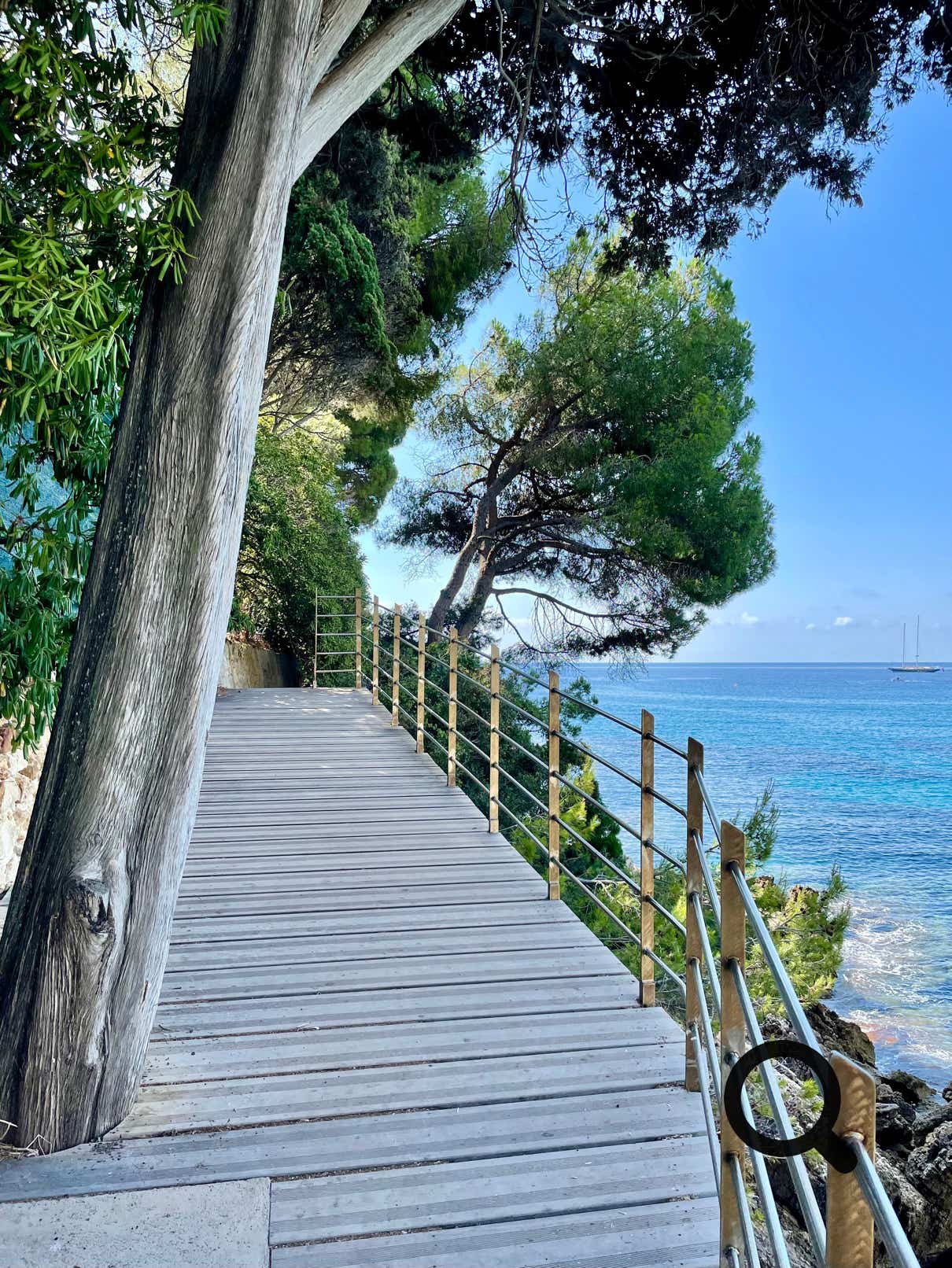 Tout au long du parcours, la Méditerranée se dévoile dans toute sa splendeur. L’eau turquoise contraste avec les rochers blancs et gris du littoral. Par beau temps, on aperçoit jusqu’aux côtes italiennes. Il n’est pas rare de croiser des lézards, des oiseaux marins, ou même des dauphins au large si l’on est chanceux.