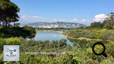 The Lérins Islands, a genuine treasure of the French Riviera, offer an unforgettable getaway combining unspoiled nature, fascinating history, and enchanting panoramas. Located just a few minutes by boat from Cannes, these islands, bathed by the turquoise waters of the Mediterranean, form an archipelago with two main gems: Sainte-Marguerite and Saint-Honorat.