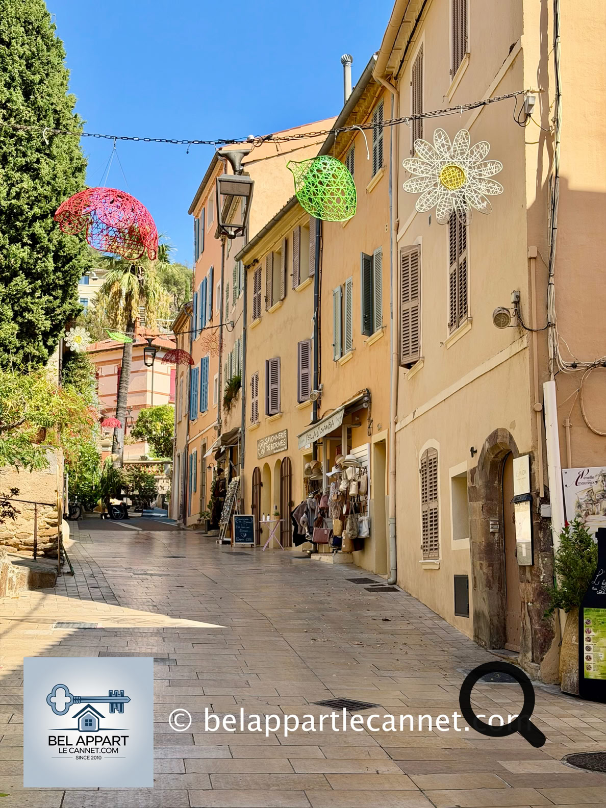 La rue Carnot est l'une des principales artères du vieux Bormes. C'est aujourd'hui une rue animée où se trouvent commerces, artisans et créateurs. Historiquement, elle marque aussi une séparation entre la partie médiévale du village, au nord, et son extension plus tardive vers le sud.