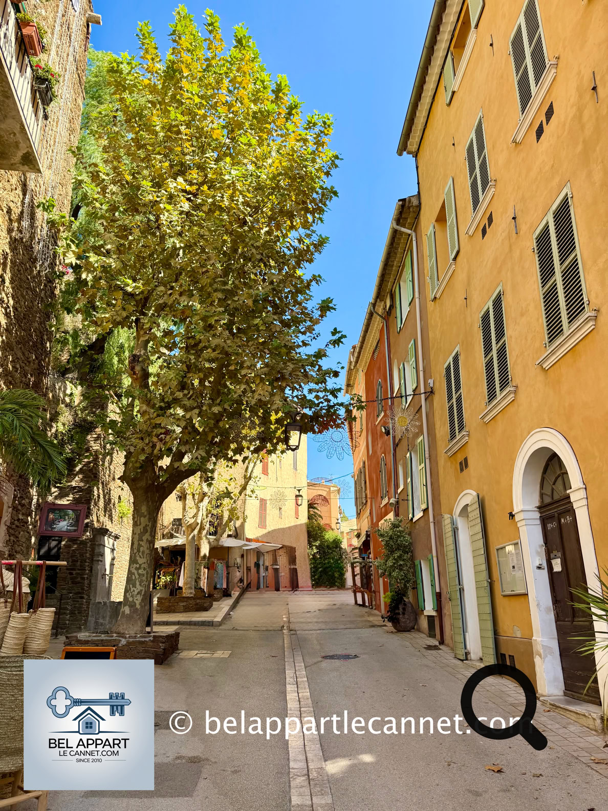La rue Carnot est l'une des principales artères du vieux Bormes. C'est aujourd'hui une rue animée où se trouvent commerces, artisans et créateurs. Historiquement, elle marque aussi une séparation entre la partie médiévale du village, au nord, et son extension plus tardive vers le sud.