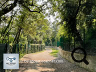 Le Canal de la Siagne