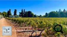 Île de Sainte-Honorat