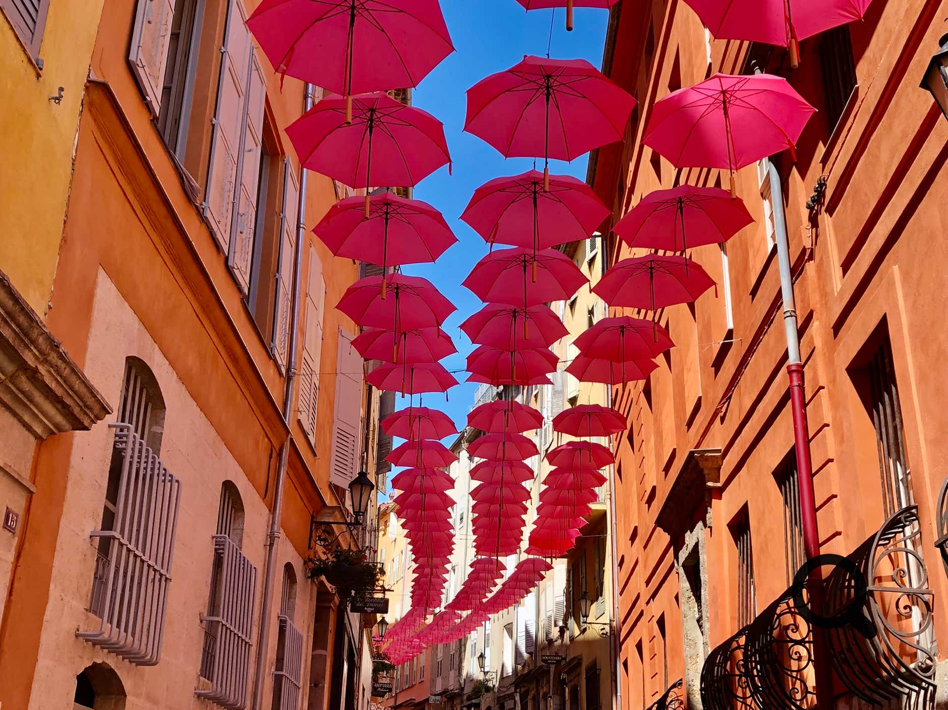 Chaque année, début mai Grasse installe ses célèbres parapluies rose dans le centre-ville au printemps.  Cette initiative, a été lancée par le maire Jérôme Viaud pour promouvoir l’ExpoRose, l’importante fête de la rose.  Plus de 2 000 parapluies sont suspendus sur les principales rues et places (rue Ossola, place de la Poissonnerie, Garden Villa Fragonard…), afin de créer une ambiance poétique et colorée qui attire touristes et photographes.  Ils restent en place tout le printemps puis l’été, jusqu’à la fin de la saison, offrant un décor féérique aux visiteurs.