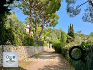 Le Canal de la Siagne