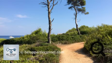 The Lérins Islands, a genuine treasure of the French Riviera, offer an unforgettable getaway combining unspoiled nature, fascinating history, and enchanting panoramas. Located just a few minutes by boat from Cannes, these islands, bathed by the turquoise waters of the Mediterranean, form an archipelago with two main gems: Sainte-Marguerite and Saint-Honorat.